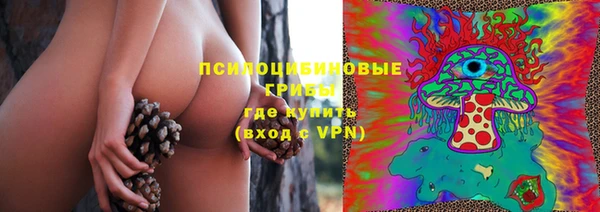 а пвп мука Гусев