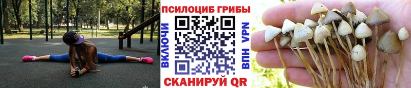 где продают наркотики  Нязепетровск  Галлюциногенные грибы ЛСД 